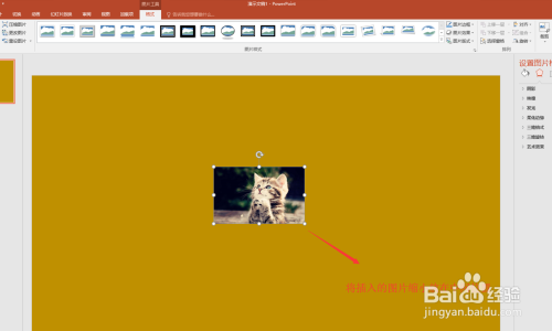 使用PPT 2016实现一个拍立得照片效果