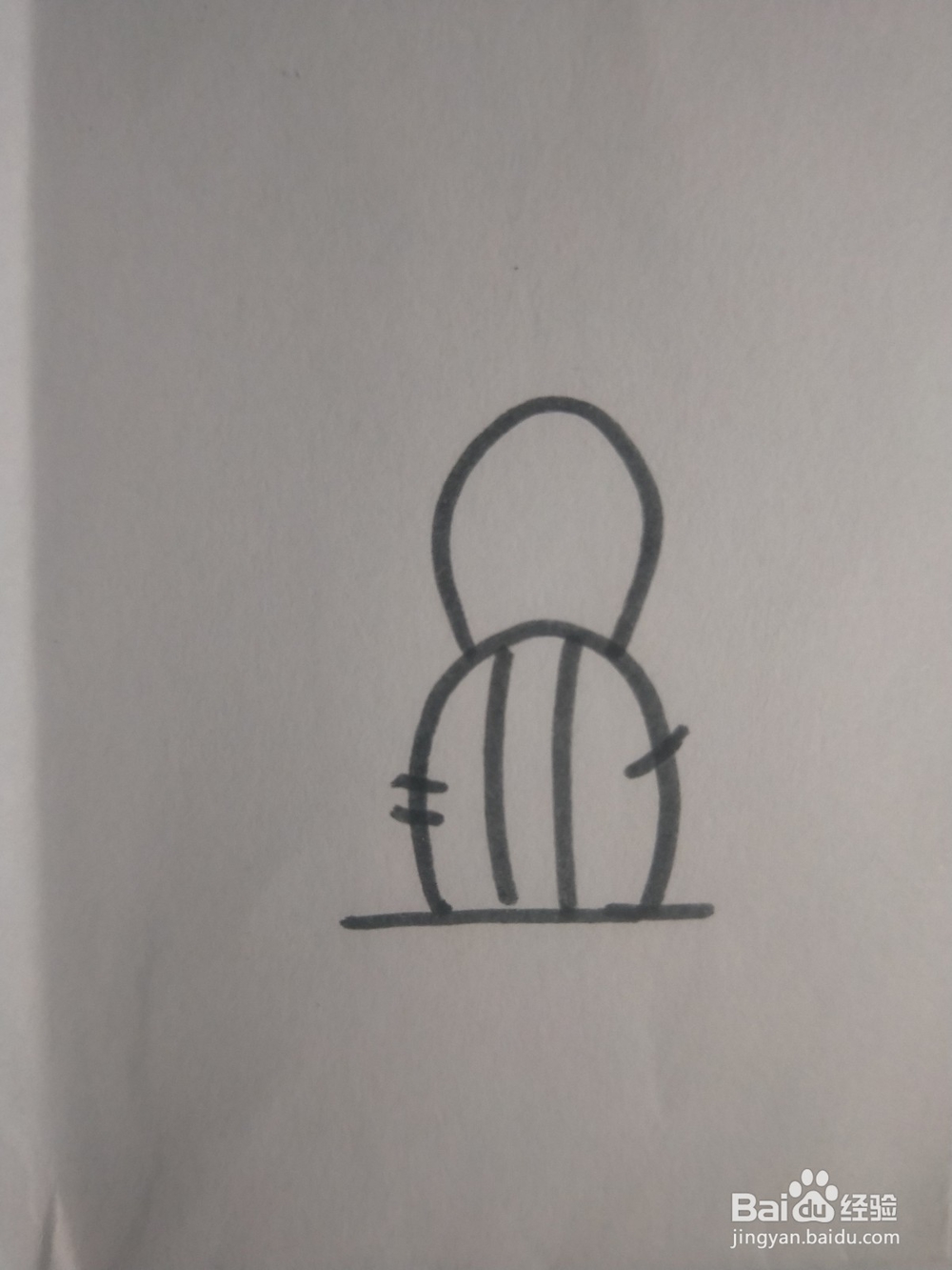 仙人掌的简笔画教程