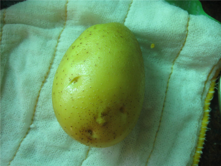 哈哈笑薯饼怎么做呢？快来跟着小编学~