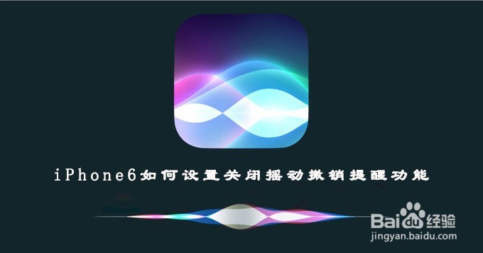 <b>iPhone6如何设置关闭摇动撤销提醒功能</b>