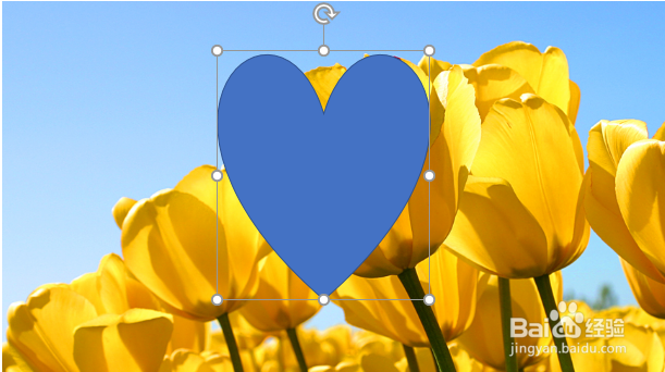 ppt将图片剪切成任意想要的形状