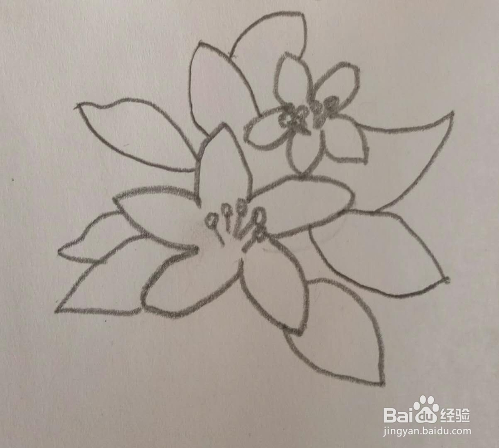 儿童简笔画花画法3