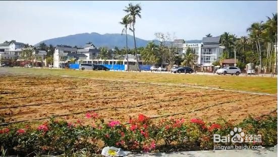 2018三亚亚龙湾酒店公寓攻略