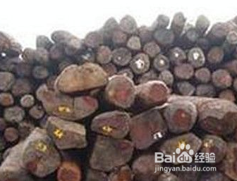 大叶紫檀和小叶紫檀有什么区别