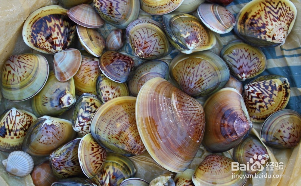 经期丰胸有妙招-边吃边大