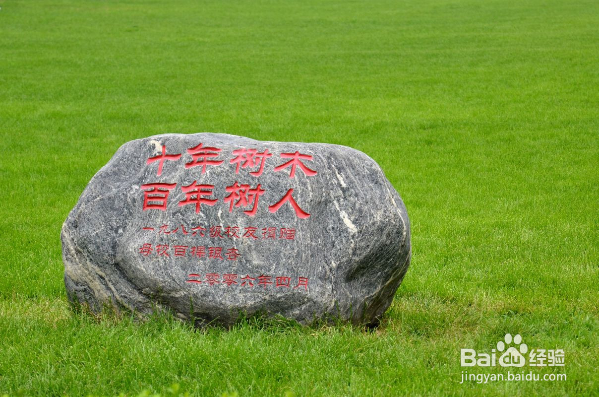 21年长春大学函授专升本报名资格