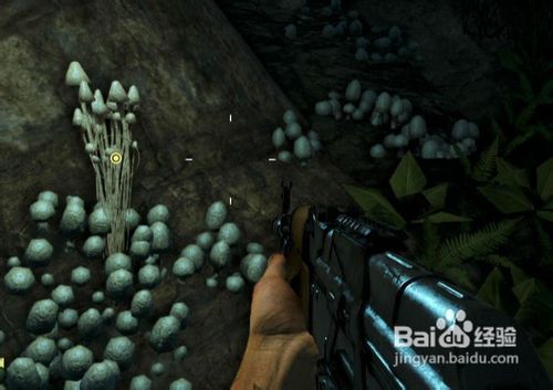 通关解说孤岛惊魂3