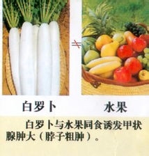 白箩卜和胡萝卜能不能一起吃?,