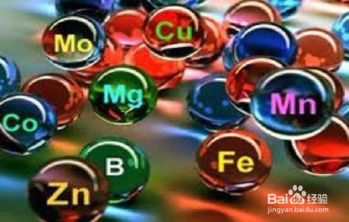 走路习惯了驼背该怎么办？