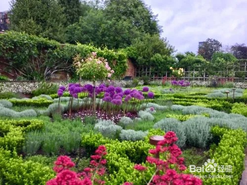 能在公园剪枝条吗