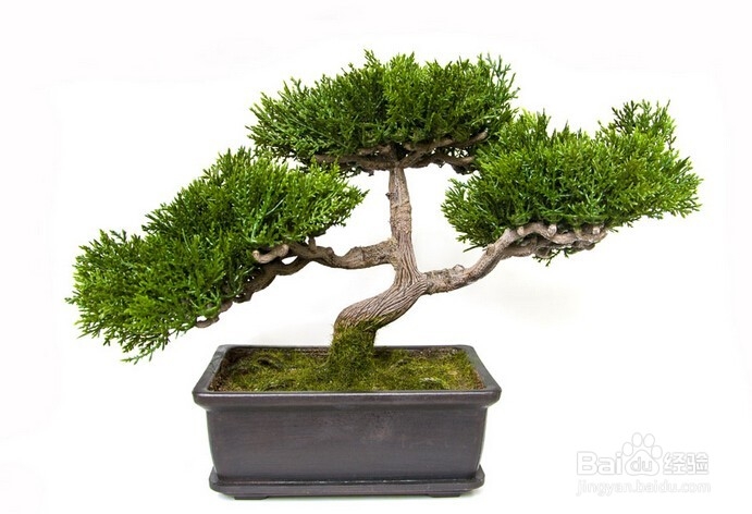 红木家具在冬季可能出现哪些问题?如何解决?