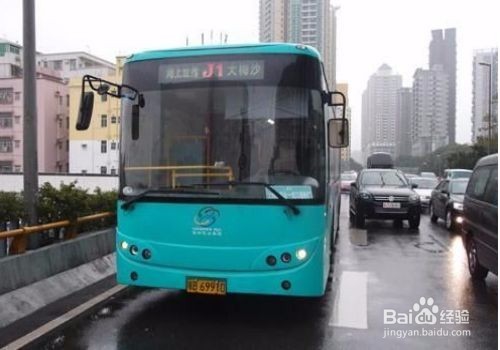深圳园博园怎么去