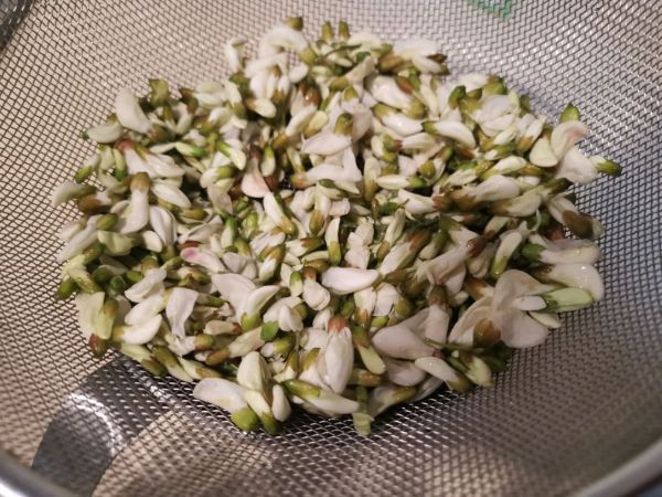春日限定槐花麦饭