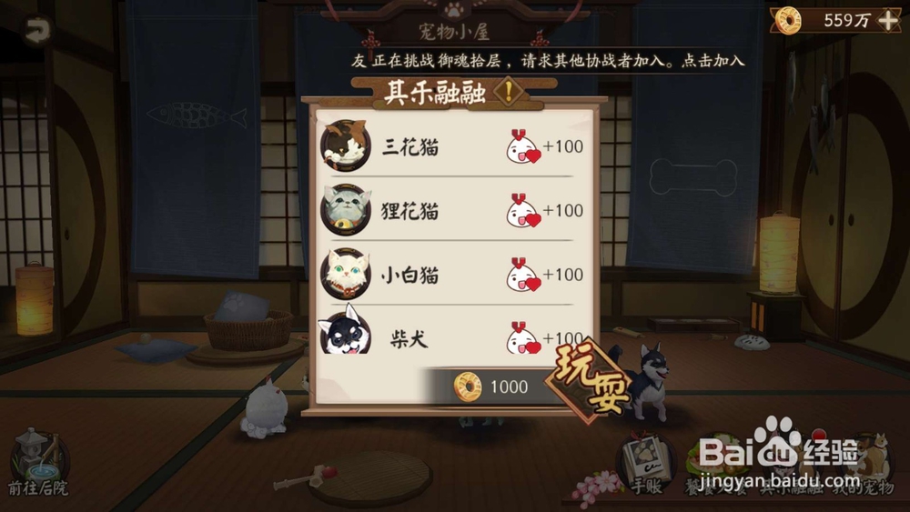 阴阳师怎么给收养的小宠物喂食