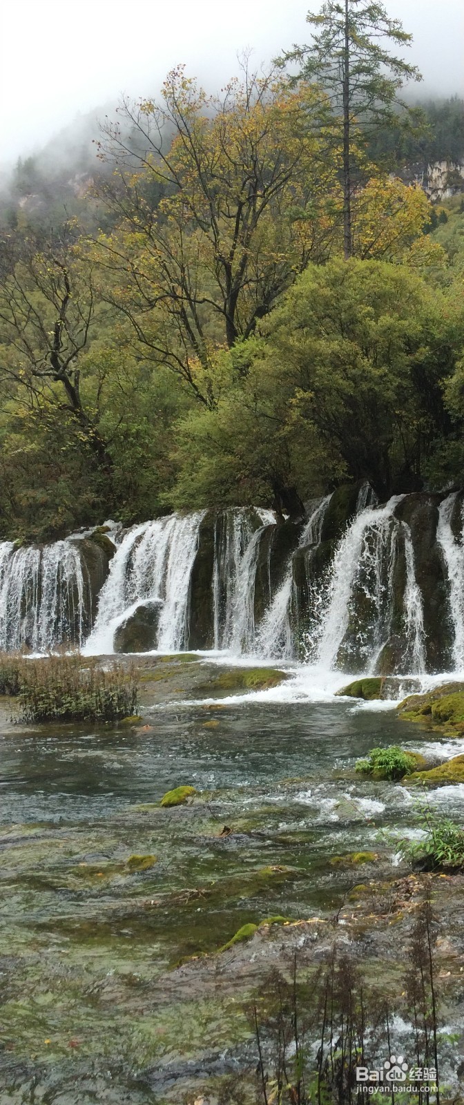 四川九寨沟、黄龙3天2夜旅游攻略