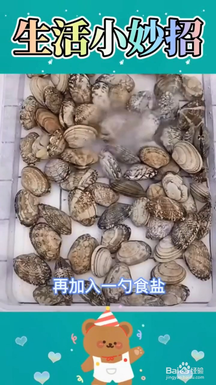 如何让花甲吐沙