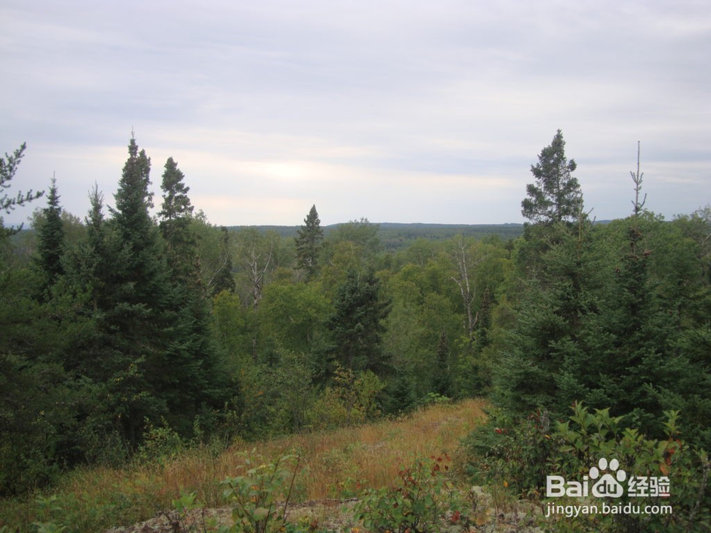 徒步爱好者的旅游圣地之一苏必利尔步道