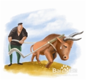 过田园式生活攻略