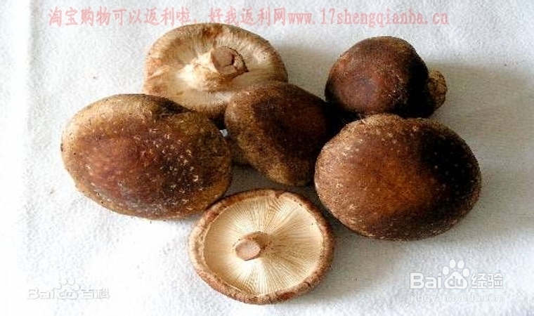 如何做菜系列鲁菜之黄焖鸡块