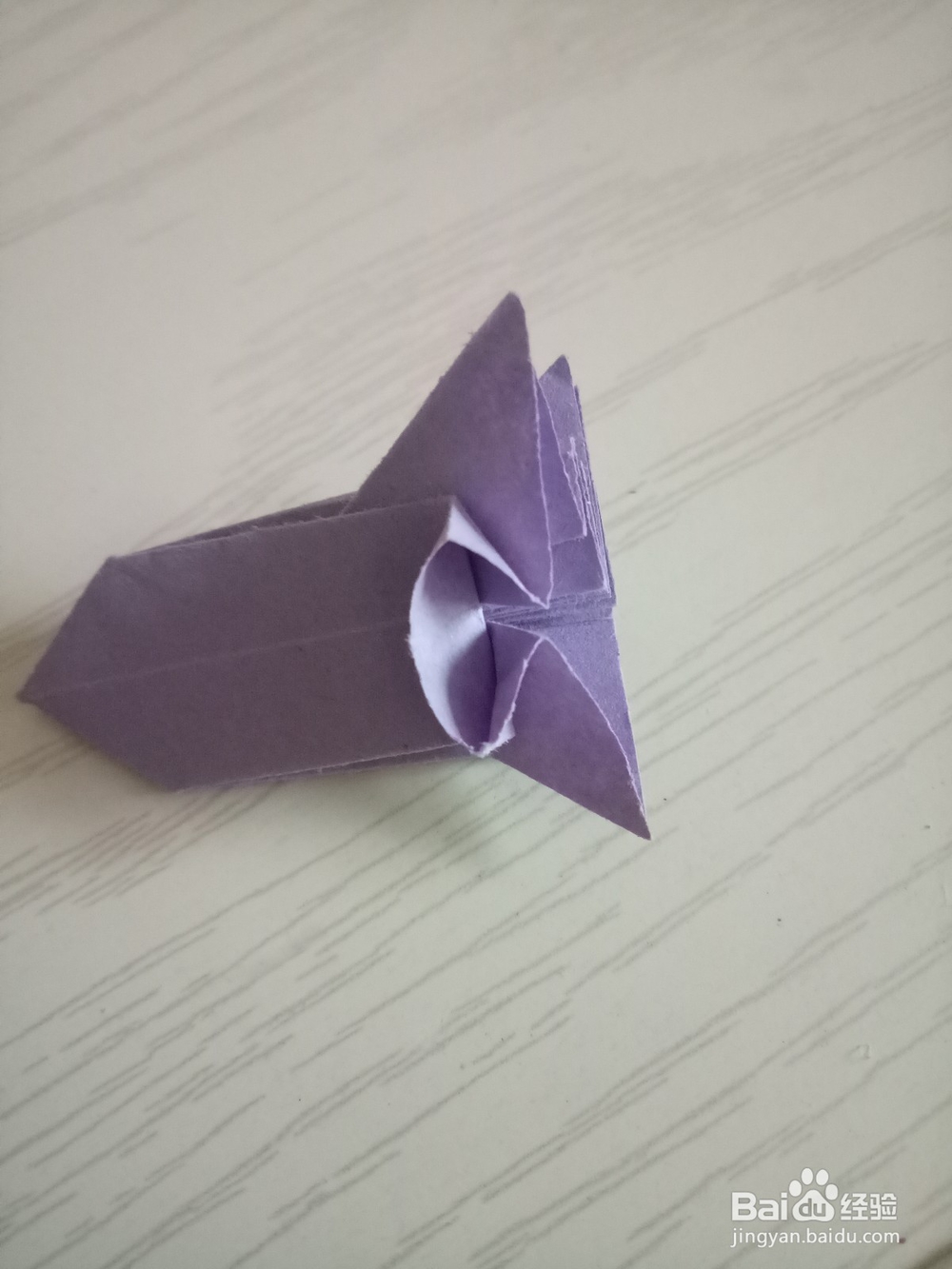 牵牛花折叠方法 下