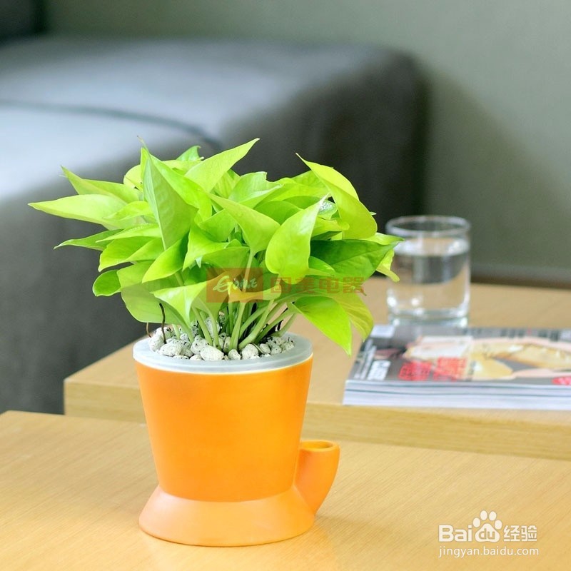 ＃过年＃注意用眼