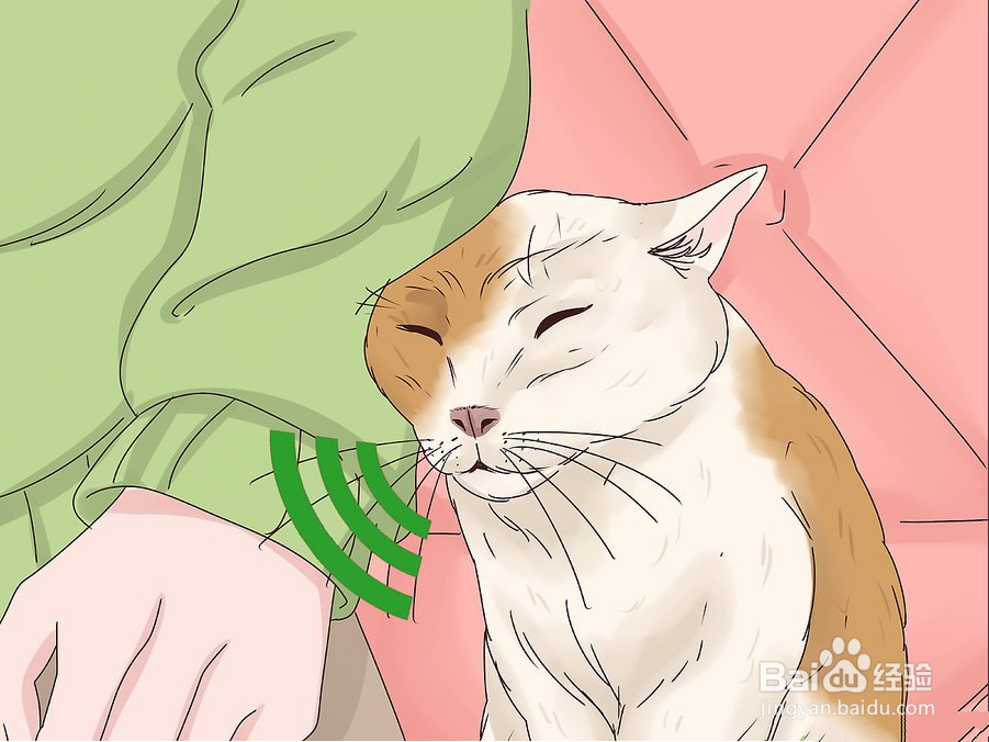 教你3种方法快速撸猫