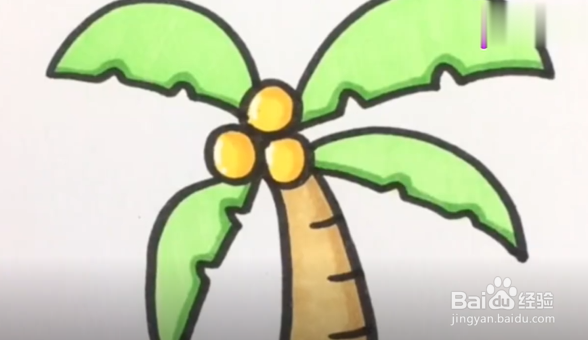 如何学会超简单的椰子树简笔画