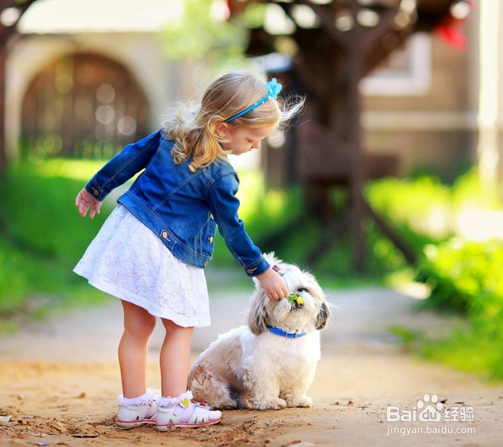 怎样给狗狗护理耳朵