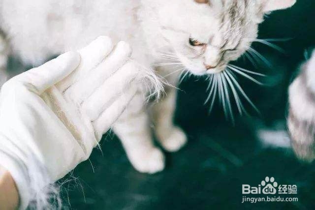 三伏天如何保护皮肤？