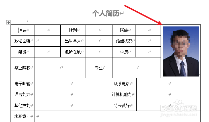 word插入图片表格怎么不变形?