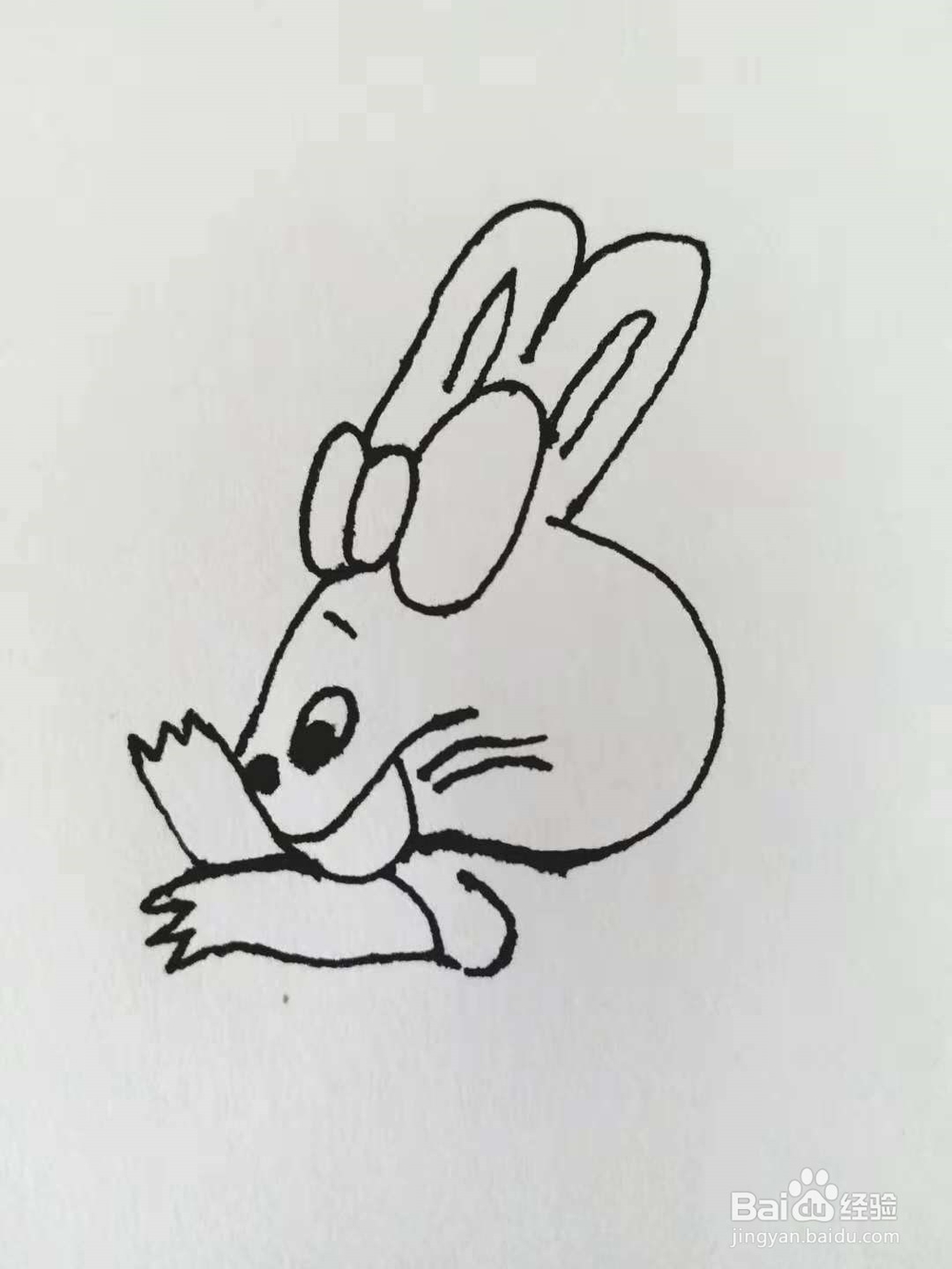 卡通兔的简笔画法《三》