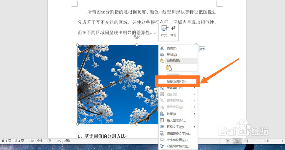 Word文档中的图片该如何另存为