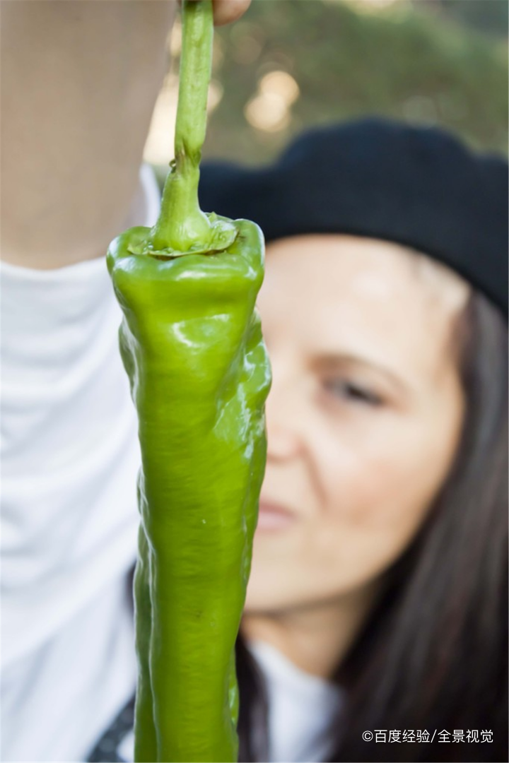 孕期、坐月子能吃青椒吗