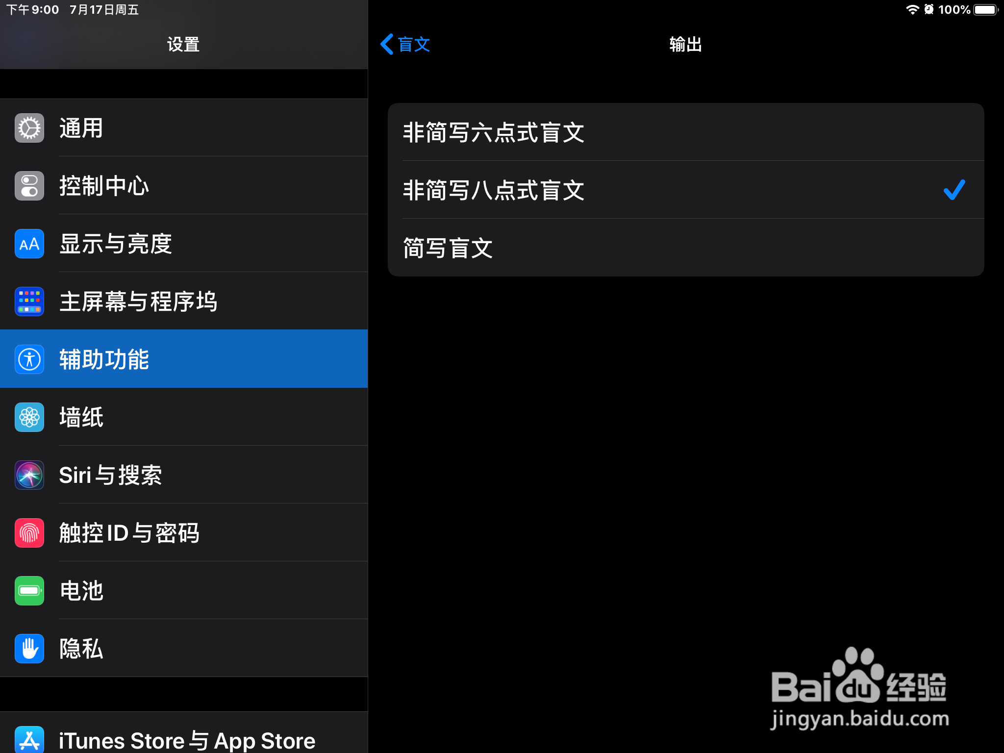 iPad怎么在旁白设置盲文的输出