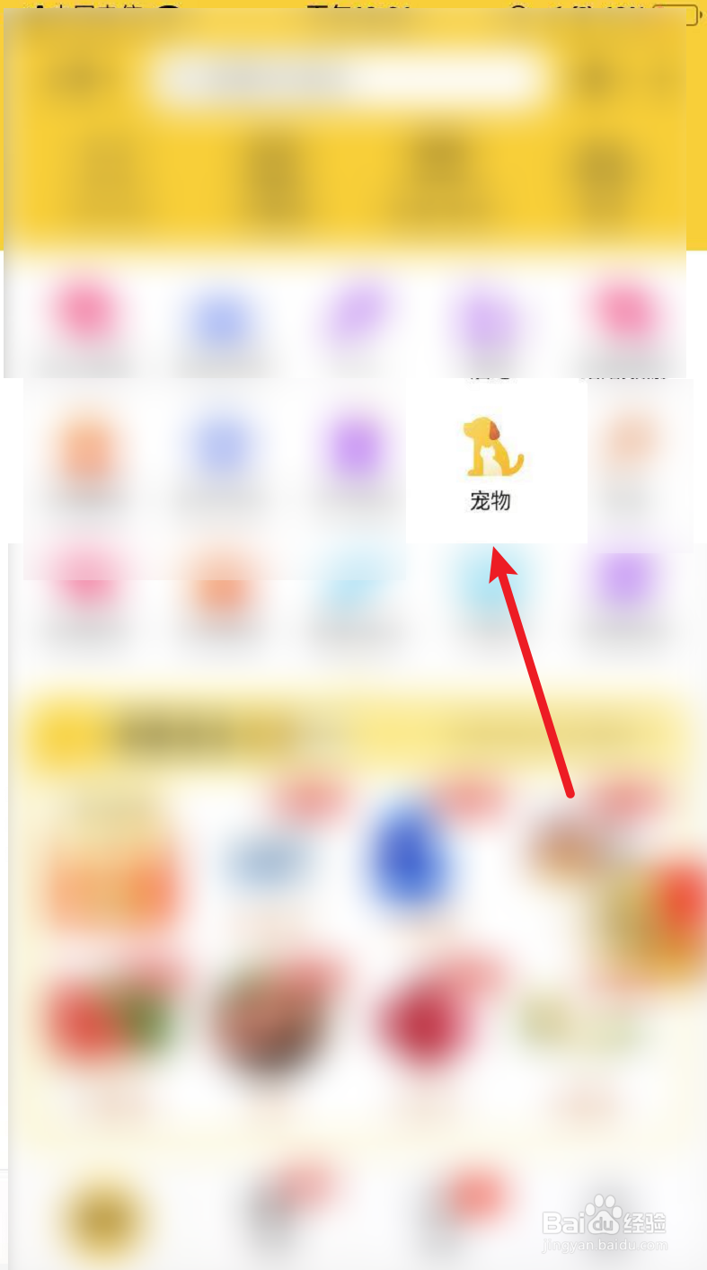 小狗打疫苗预约流程