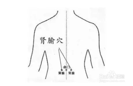 肾虚的表现有哪些?怎么养肾补肾