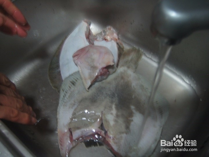 老年人怎样去海鱼的麟