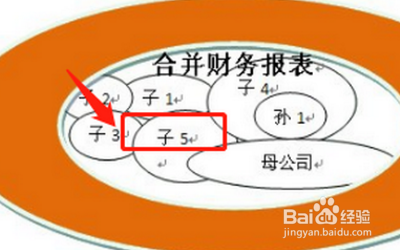 合并报表的范围？