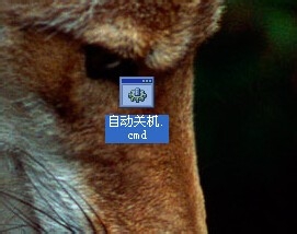 自制自动关机小程序