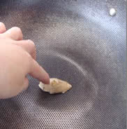 鲫鱼萝卜枸杞汤