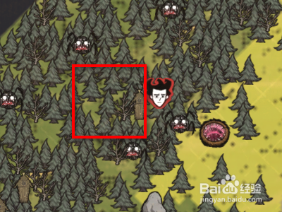 饥荒红蘑菇的功效与作用