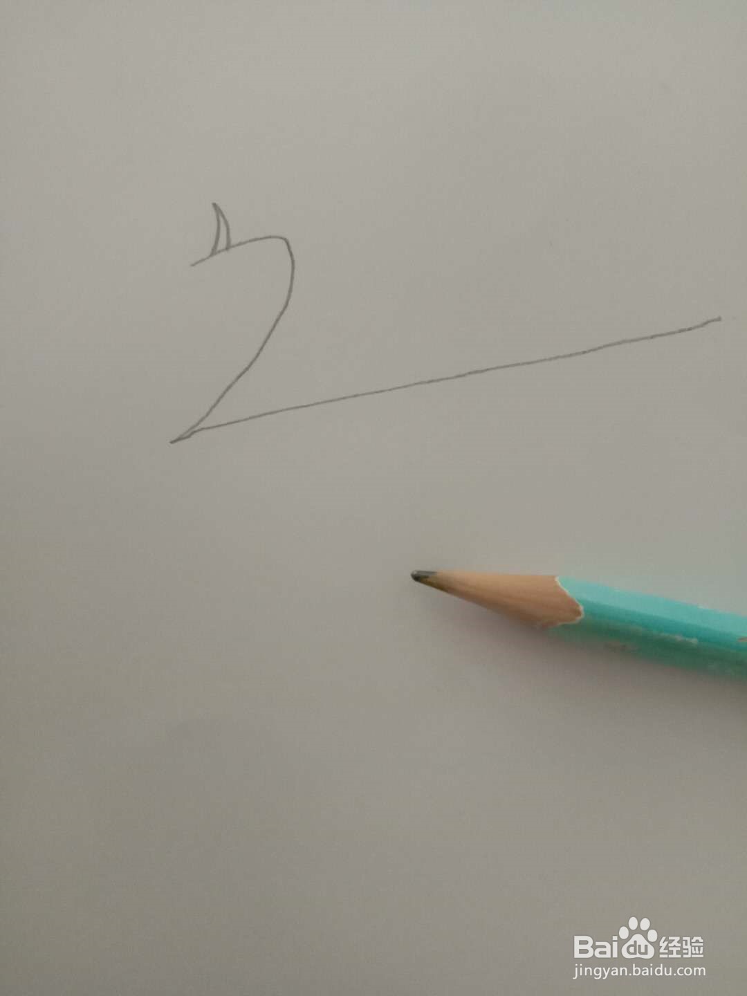 简笔画 如何画动物 孔雀