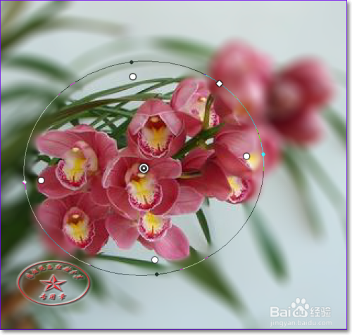 【PS】场景模糊的使用技巧