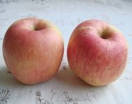 教你怎样做苹果醋