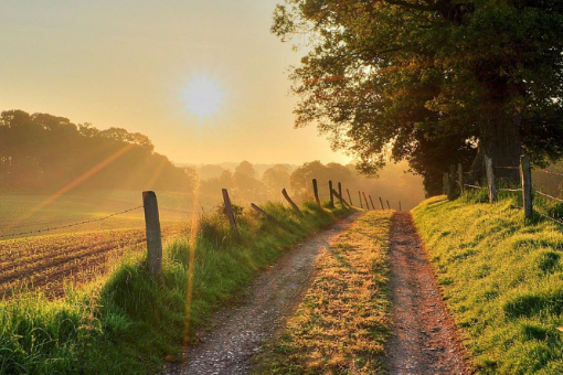 早上好2021问候语