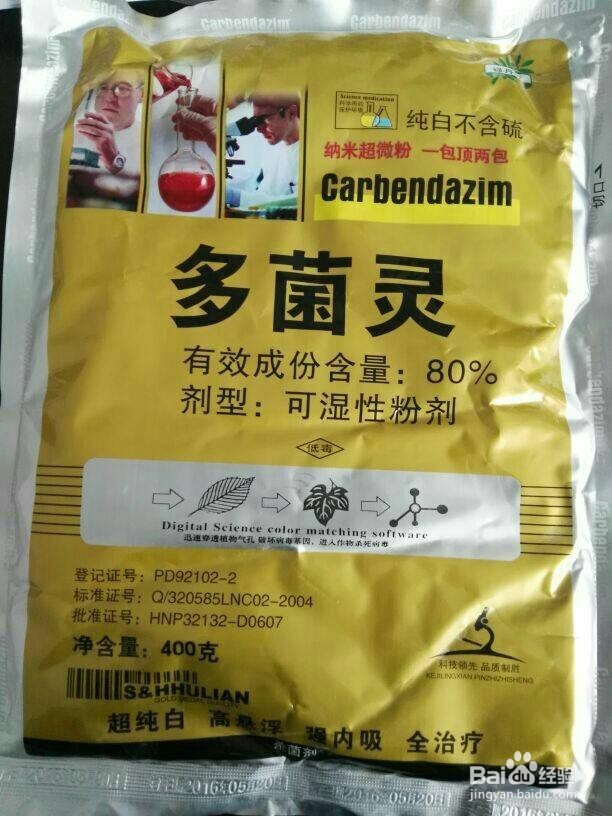 仙人球枯萎救治方法