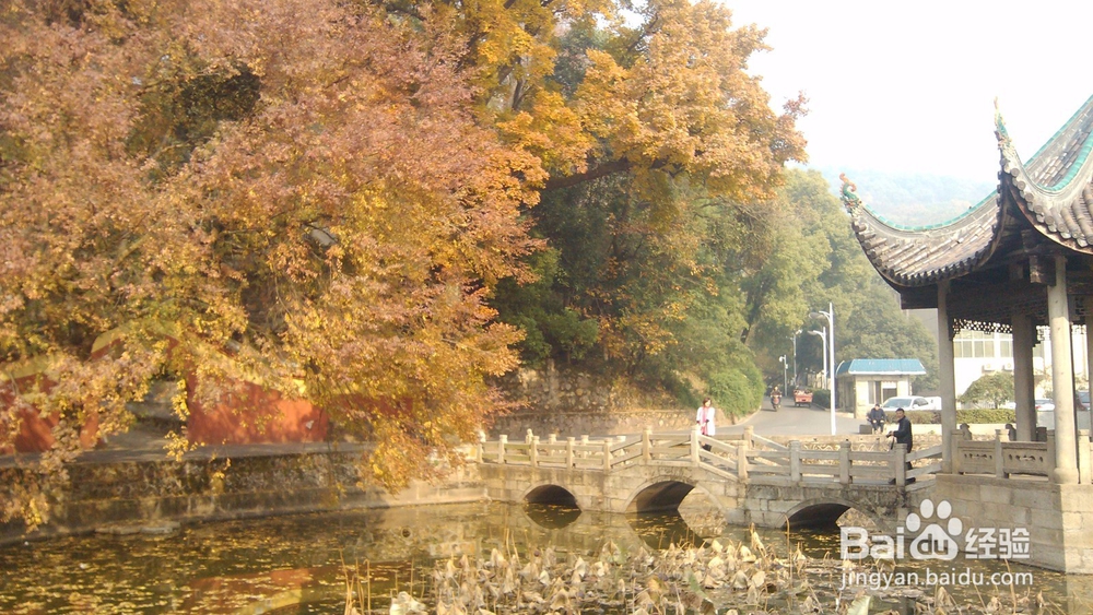 2018年湖南大学教育学学硕考研经验