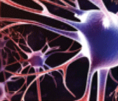 多动症不治疗的危害到底有多大?