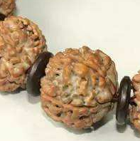 龙鳞纹小金刚盘玩攻略