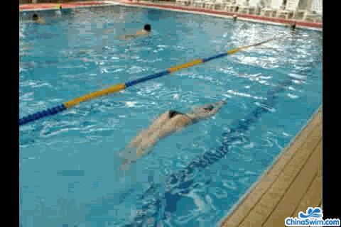 怎样通过找腰找波浪来学习蝶泳
